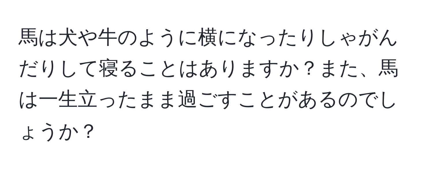 馬は犬や牛のように横になったりしゃがんだりして寝ることはありますか？また、馬は一生立ったまま過ごすことがあるのでしょうか？