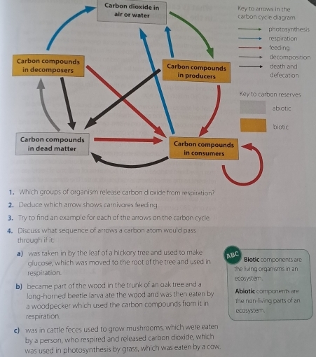 Carbon dioxide in Key to arrows in the
sis
on
1
2. Deduce which arrow shows carnivores feeding.
3。 Try to find an example for each of the arrows on the carbon cycle.
4。 Discuss what sequence of arrows a carbon atom would pass
through if it:
a) was taken in by the leaf of a hickory tree and used to make ABC Biotic components are
glucose, which was moved to the root of the tree and used in
respiration. the living organisms in an
b) became part of the wood in the trunk of an oak tree and a ecosystem. Abiotic components are
long-horned beetle larva ate the wood and was then eaten by
a woodpecker which used the carbon compounds from it in the non-living parts of an
respiration. ecosystem.
c) was in cattle feces used to grow mushrooms, which were eaten
by a person, who respired and released carbon dioxide, which
was used in photosynthesis by grass, which was eaten by a cow.