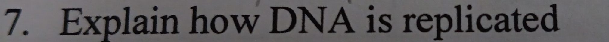 Explain how DNA is replicated