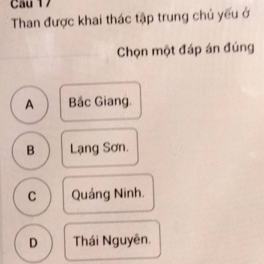 Than được khai thác tập trung chú yếu ở
Chọn một đáp án đúng
A Bắc Giang.
B Lạng Sơn.
C Quáng Ninh.
D Thái Nguyên,