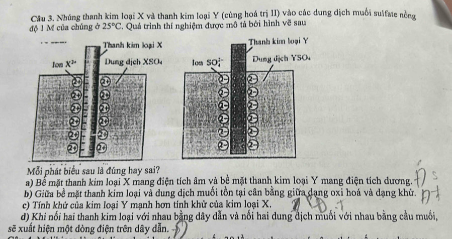 Nhúng thanh kim loại X và thanh kim loại Y (cùng hoá trị II) vào các dung dịch muối sulfate nồng
độ 1 M của chúng ở 25°C. Quá trình thí nghiệm được mô tả bởi hình vẽ sau
 
 
Mỗi phát biểu sau là đúng hay sai?
a) Bể mặt thanh kim loại X mang điện tích âm và bề mặt thanh kim loại Y mang điện tích dương.
b) Giữa bề mặt thanh kim loại và dung dịch muối tồn tại cân bằng giữa dạng oxi hoá và dạng khử.
c) Tính khử của kim loại Y mạnh hơn tính khử của kim loại X.
d) Khi nối hai thanh kim loại với nhau bằng dây dẫn và nối hai dung địch muối với nhau bằng cầu muối,
sẽ xuất hiện một dòng điện trên dây dẫn.