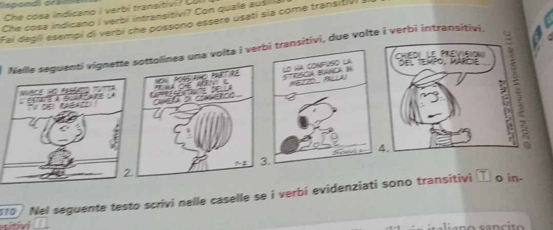 spondi orá 
Che cosa indicano i verbi transitivi? Coll 
Che cosa indicano i verbi intransitivi? Con quale ausilla 
Fai degli esempi di verbi che possono essere usati sía come transitivi 
Nelle seguentí vignettenea una volta i vernsitivi, due volte i verbi intransitivi.
170 Nel seguente testo scrivi nelle caselle se i verbi evidenziati sono transitivi T oin- 

a o a