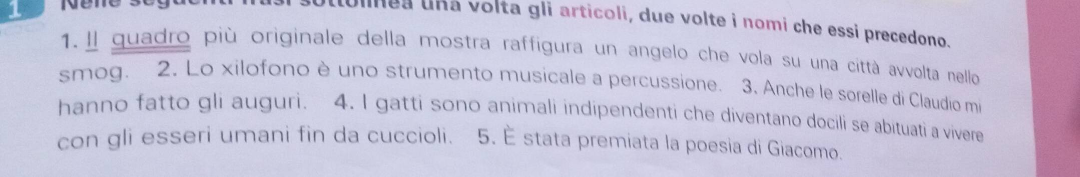 ounea una volta gli articoli, due volte i nomi che essi precedono. 
1. Il quadro più originale della mostra raffigura un angelo che vola su una città avvolta nello 
smog. 2. Lo xilofono è uno strumento musicale a percussione. 3. Anche le sorelle di Claudio mi 
hanno fatto gli auguri. 4. I gatti sono animali indipendenti che diventano docili se abituati a vivere 
con gli esseri umani fin da cuccioli. 5. È stata premiata la poesia di Giacomo.