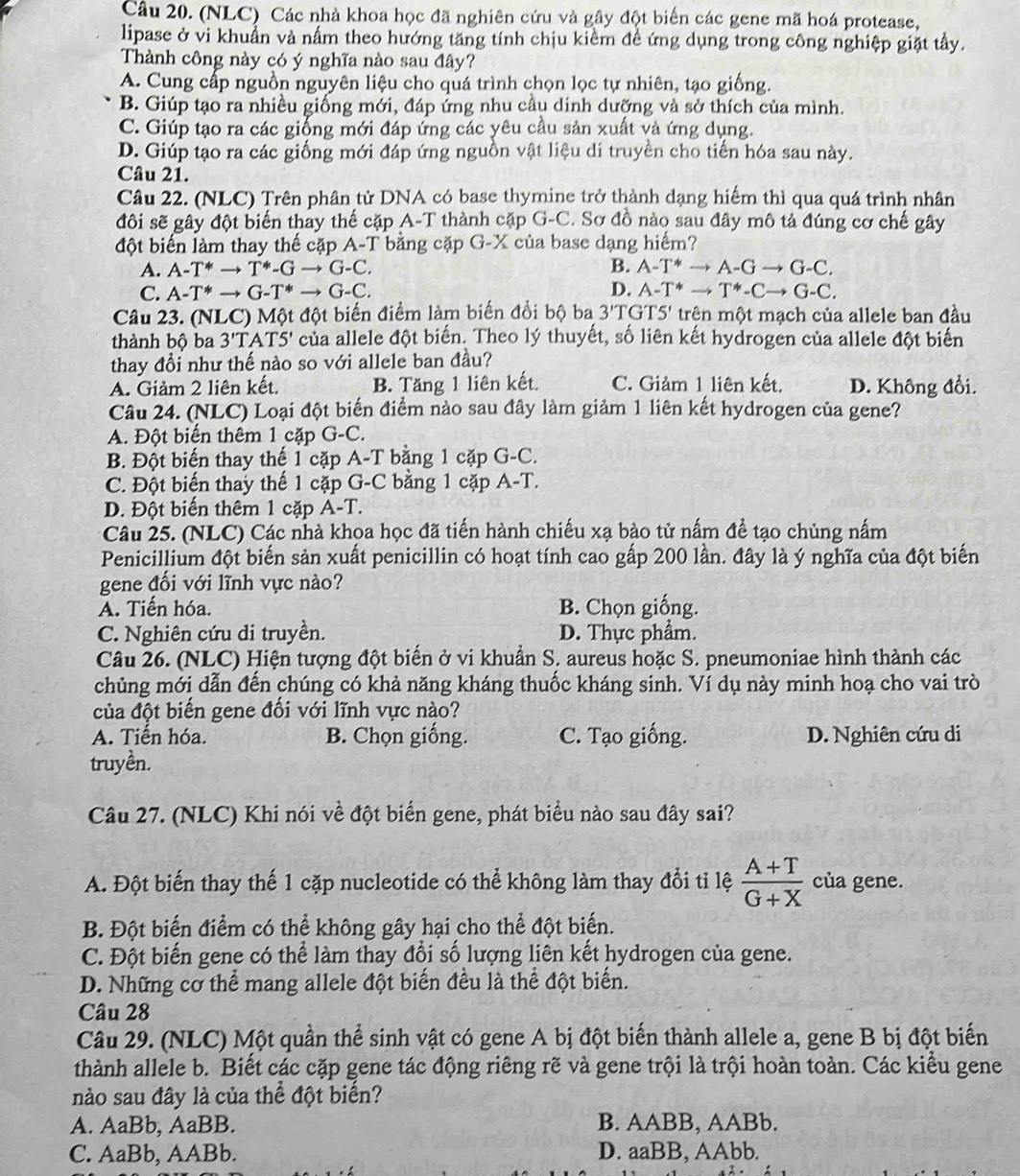 (NLC) Các nhà khoa học đã nghiên cứu và gây đột biến các gene mã hoá protease,
lipase ở vi khuẩn và nấm theo hướng tăng tính chịu kiểm đề ứng dụng trong công nghiệp giặt tầy.
Thành công này có ý nghĩa nào sau đây?
A. Cung cấp nguồn nguyên liệu cho quá trình chọn lọc tự nhiên, tạo giống.
B. Giúp tạo ra nhiều giống mới, đáp ứng nhu cầu dinh dưỡng và sở thích của mình.
C. Giúp tạo ra các giống mới đáp ứng các yêu cầu sản xuất và ứng dụng.
D. Giúp tạo ra các giống mới đáp ứng nguồn vật liệu di truyền cho tiến hóa sau này.
Câu 21.
Câu 22. (NLC) Trên phân tử DNA có base thymine trở thành dạng hiếm thì qua quá trình nhân
đôi sẽ gây đột biến thay thế cặp A-T thành cặp G-C. Sơ đồ nào sau đây mô tả đúng cơ chế gây
đột biến làm thay thế cặp A-1 T bằng cặp G-X của base dạng hiểm?
A. A-T^*to T^*-Gto G-C. B. A-T^*to A-Gto G-C.
C. A-T^*to G-T^*to G-C. D. A-T^*to T^*-Cto G-C.
Câu 23. (NLC) Một đột biến điểm làm biến đổi bộ ba 3'T GTS' trên một mạch của allele ban đầu
thành bộ ba 3'TATS' của allele đột biến. Theo lý thuyết, số liên kết hydrogen của allele đột biến
thay đổi như thế nào so với allele ban đầu?
A. Giảm 2 liên kết. B. Tăng 1 liên kết. C. Giảm 1 liên kết. D. Không đổi.
Câu 24. (NLC) Loại đột biến điểm nào sau đây làm giảm 1 liên kết hydrogen của gene?
A. Đột biển thêm 1 cặp G-C.
B. Đột biến thay thế 1 cặp A-T bằng 1 cặp G-C.
C. Đột biến thay thế 1 cặp G-C bằng 1 cặp A-T.
D. Đột biển thêm 1 cặp A-T.
Câu 25. (NLC) Các nhà khọa học đã tiến hành chiếu xạ bào tử nấm đề tạo chủng nấm
Penicillium đột biến sản xuất penicillin có hoạt tính cao gấp 200 lần. đây là ý nghĩa của đột biến
gene đổi với lĩnh vực nào?
A. Tiến hóa. B. Chọn giống.
C. Nghiên cứu di truyền. D. Thực phẩm.
Câu 26. (NLC) Hiện tượng đột biến ở vi khuẩn S. aureus hoặc S. pneumoniae hình thành các
chủng mới dẫn đến chúng có khả năng kháng thuốc kháng sinh. Ví dụ này minh hoạ cho vai trò
của đột biến gene đối với lĩnh vực nào?
A. Tiển hóa. B. Chọn giống. C. Tạo giống. D. Nghiên cứu di
truyền.
Câu 27. (NLC) Khi nói về đột biển gene, phát biểu nào sau đây sai?
A. Đột biến thay thế 1 cặp nucleotide có thể không làm thay đổi tỉ lệ  (A+T)/G+X  của gene.
B. Đột biến điểm có thể không gây hại cho thể đột biến.
C. Đột biến gene có thể làm thay đổi số lượng liên kết hydrogen của gene.
D. Những cơ thể mang allele đột biến đều là thể đột biến.
Câu 28
Câu 29. (NLC) Một quần thể sinh vật có gene A bị đột biến thành allele a, gene B bị đột biển
thành allele b. Biết các cặp gene tác động riêng rẽ và gene trội là trội hoàn toàn. Các kiểu gene
nào sau đây là của thể đột biển?
A. AaBb, AaBB. B. AABB, AABb.
C. AaBb, AABb. D. aaBB, AAbb.