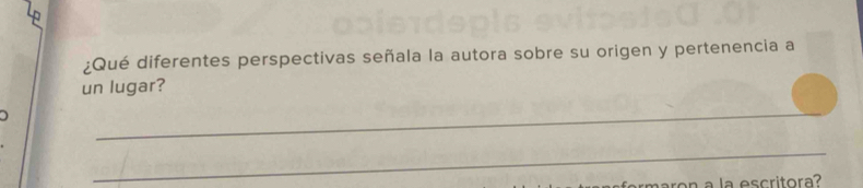 ¿Qué diferentes perspectivas señala la autora sobre su origen y pertenencia a 
un lugar? 

_ 
_ 
en a la escritora?