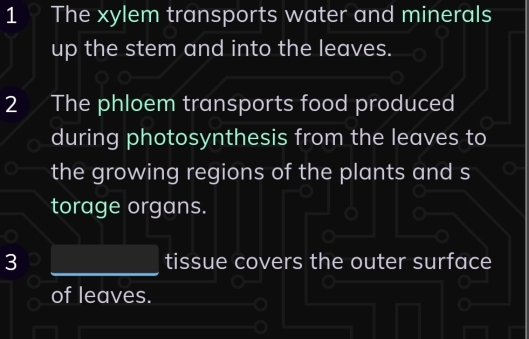 The xylem transports water and minerals 
up the stem and into the leaves. 
2 The phloem transports food produced 
during photosynthesis from the leaves to 
the growing regions of the plants and s 
torage organs. 
3 tissue covers the outer surface 
of leaves.