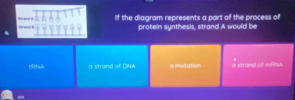 If the diagram represents a part of the process of
protein synthesis, strand A would be
tRNA a strand of DNA a mutation a strand of mRNA
AVA