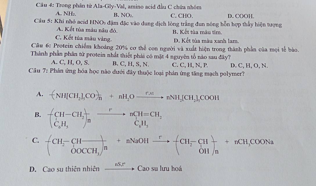 Trong phân tử Ala-Gly-Val, amino acid đầu C chứa nhóm
A. NH₂. B. NO₂. C. CHO. D. COOH.
Câu 5: Khi nhỏ acid HNO₃ đậm đặc vào dung dịch lòng trắng đun nóng hỗn hợp thấy hiện tượng
A. Kết tủa màu nâu đỏ. B. Kết tủa màu tím.
C. Kết tủa màu vàng. D. Kết tủa màu xanh lam.
Câu 6: Protein chiếm khoảng 20% cơ thể con người và xuất hiện trong thành phần của mọi tế bào.
Thành phần phân tử protein nhất thiết phải có mặt 4 nguyên tố nào sau đây?
A. C, H, O, S. B. C, H, S, N. C. C, H, N, P. D. C, H, O, N.
Câu 7: Phản ứng hóa học nào dưới đây thuộc loại phản ứng tăng mạch polymer?
A. arrow NH[CH_2]_5COto n+nH_2Oxrightarrow t°.xtnNH_2[CH_2]_5COOH
B. beginpmatrix CH-CH_2 C_6H_5endpmatrix _nxrightarrow rnCH=CH_2 C_6H_5endpmatrix
C. +CH_2-CHfrac )_CCH_n+nNaOHxrightarrow r-(CH_2-CH-+nCH_3COONa
D. Cao su thiên nhiên _ nS,t°, Cao su lưu hoá