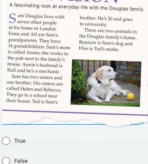 A fascinating look at everyday life with the Douglas family
am Douglas lives with brother. He's 20 and goes
S seven other people to university.
at his home in London. There are two animals in
Esme and Alf are Sam's the Douglas family’s home.
grandparents. They have Bouncer is Sam's dog and
14 grandchildren. Sam's mom Hiss is Ted's snake.
is called Annie; she works in
the pub next to the family’s
house. Annie’s husband is
Ralf and he’s a mechanic.
Sam has two sisters and
one brother. His sisters are
called Helen and Rebecca.
They go to a school near
their house. Ted is Sam's
True
False