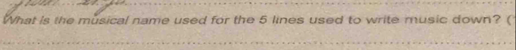 What is the musical name used for the 5 lines used to write music down? (