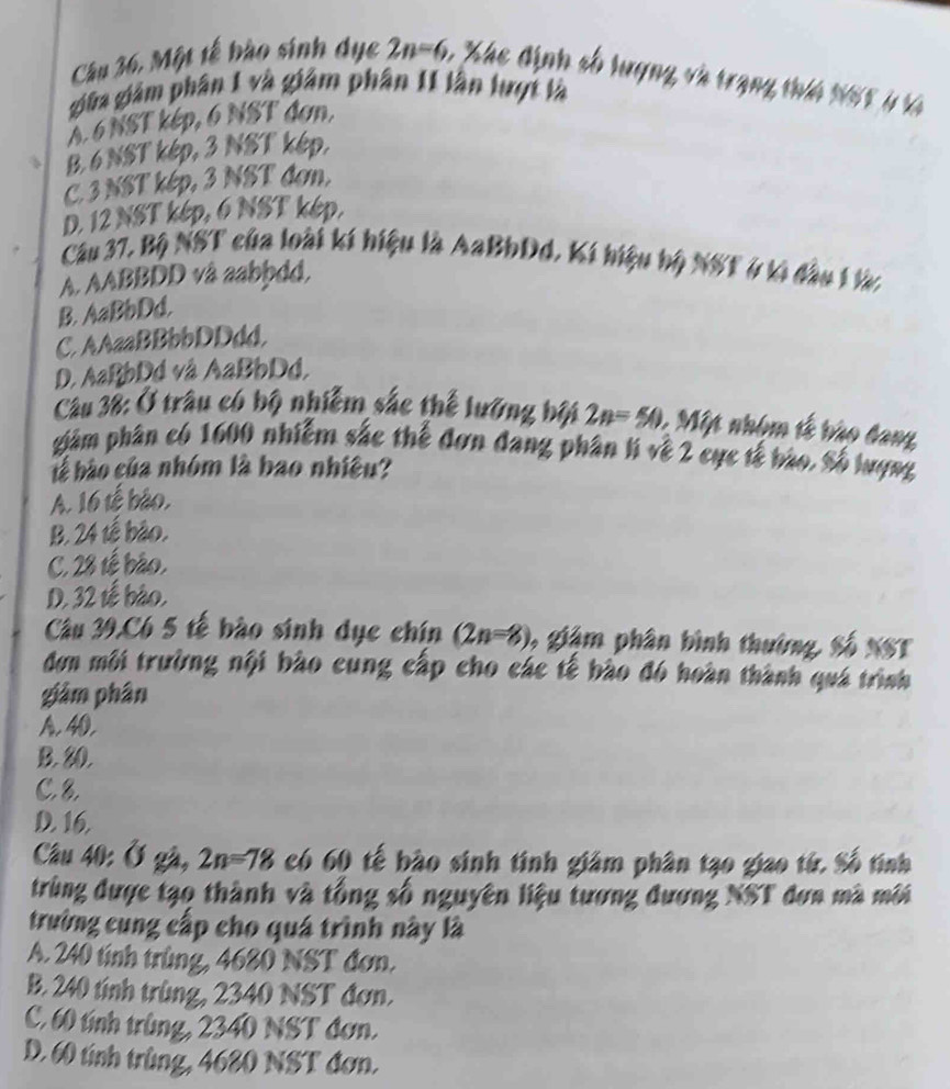 Câu 36, Một tế bào sinh dục 2n=6 , Xác định số lượng và trạng thíh ti 5l là
giữa giám phân 1 và giám phân 11 lận lượt là
Á 6 NST kép, 6 NST đơn,
B. 6 NST kép, 3 NST kép,
C. 3 NST kép, 3 NST đơn,
D. 12 NST kép, 6 NST kép.
Câu 37, Bộ NST của loài kí hiệu là AaBbDd, Kí biệu bộ NST ở ki đầu 1 làc
A. AABBDD và aabbdd,
B. AaBbDd.
C. AAaaBBbbDDdd,
D. AaBbDd vå AaBbDd,
Câu 38: Ở trâu có bộ nhiễm sắc thể lướng bội 2n=50 1 Một nhóm tế bào dang
piám phân có 1600 nhiễm sắc thể đơn đang phân lí về 2 cục tế bào. Số lượng
b ào của nhóm là bao nhiệu?
A. 16 tế bảo,
B. 24 tế bảo,
C. 28 tế bảo,
D. 32 tế bảo,
Câu 39,C6 5 tế bào sinh dục chín (2n-8) 5, giám phân bình thường, Số NST
đơn môi trường nội bào cung cấp cho các tế bào đó hoàn thành quá trình
giâm phân
A. 40.
B. 80.
C 8
D. 16.
Câu 40: Ở gà, 2n=78 có 60 tế bào sinh tinh giám phân tạo giao từ. Số tính
trùng được tạo thành và tổng số nguyên liệu tương đương NST đơn mà môi
trường cung cấp cho quá trình này là
A. 240 tính trùng, 4680 NST đơn.
B. 240 tính trùng, 2340 NST đơn.
C. 60 tính trùng, 2340 NST đơn.
D. 60 tính trùng, 4680 NST đơn.