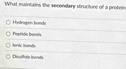 What maintains the secondary structure of a protein
Hydrogen bonds
Peptide bonds
Ionic bonds
Disulfide bonds