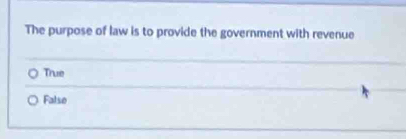 The purpose of law is to provide the government with revenue
True
Falso