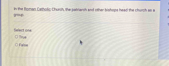 In the Roman Catholic Church, the patriarch and other bishops head the church as a
group.
Select one:
True
False