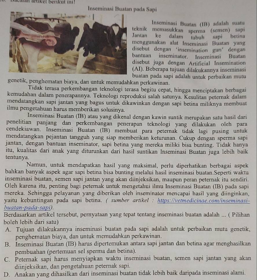 Bacanan artikel berikut i!
Inseminasi Buatan pada Sapi
Inseminasi Buatan (IB) adalah suatu
knik memasukkan sperma (semen) sapi
antan ke dalam tubuh sapi betina
enggunakan alat Inseminasi Buatan yang
isebut dengan ‘insemination gun’ dengan
antuan inseminator. Inseminasi Buatan
sebut juga dengan Artificial Insemination
I). Beberapa tujuan dilakukannya inseminasi
buatan pada sapi adalah untuk perbaikan mutu
genetik, penghematan biaya, dan untuk memudahkan perkawinan.
Tidak terasa perkembangan teknologi terasa begitu cepat, hingga menciptakan berbagai
kemudahan dalam penerapannya. Teknologi reproduksi salah satunya. Kesulitan peternak dalam
mendatangkan sapi jantan yang bagus untuk dikawinkan dengan sapi betina miliknya membuat
ilmu pengetahuan harus memberikan solusinya.
Inseminasi Buatan (IB) atau yang dikenal dengan kawin suntik merupakan satu hasil dari
penelitian panjang dan perkembangan penerapan teknologi yang dilakukan oleh para
cendekiawan. Inseminasi Buatan (IB) membuat para peternak tidak lagi pusing untuk
mendatangkan pejantan tangguh yang siap memberikan keturunan. Cukup dengan sperma sapi
jantan, dengan bantuan inseminator, sapi betina yang mereka miliki bisa bunting. Tidak hanya
itu, kualitas dari anak yang diturunkan dari hasil suntikan Inseminasi Buatan juga lebih baik
tentunya.
Namun, untuk mendapatkan hasil yang maksimal, perlu diperhatikan berbagai aspek
bahkan banyak aspek agar sapi betina bisa bunting melalui hasil inseminasi buatan.Seperti waktu
inseminasi buatan, semen sapi jantan yang akan diinjeksikan, maupun peran peternak itu sendiri.
Oleh karena itu, penting bagi peternak untuk mengetahui ilmu Inseminasi Buatan (IB) pada sapi
mereka. Sehingga pelayanan yang diberikan oleh inseminator mencapai hasil yang diinginkan,
yaitu kebuntingan pada sapi betina. ( sumber artikel : https://vetmedicinae.com/inseminasi-
buatan-pada-sapi).
Berdasarkan artikel tersebut, pernyataan yang tepat tentang inseminasi buatan adalah ... ( Pilihan
boleh lebih dari satu)
A. Tujuan dilakukannya inseminasi buatan pada sapi adalah untuk perbaikan mutu genetik,
penghematan biaya, dan untuk memudahkan perkawinan.
B. Inseminasi Buatan (IB) harus dipertemukan antara sapi jantan dan betina agar menghasilkan
pembuahan (pertemuan sel sperma dan betina).
C. Peternak sapi harus menyiapkan waktu inseminasi buatan, semen sapi jantan yang akan
diinjeksikan, dan pengetahuan peternak sapi.
D. Anakan yang dihasilkan dari inseminasi buatan tidak lebih baik daripada inseminasi alami.