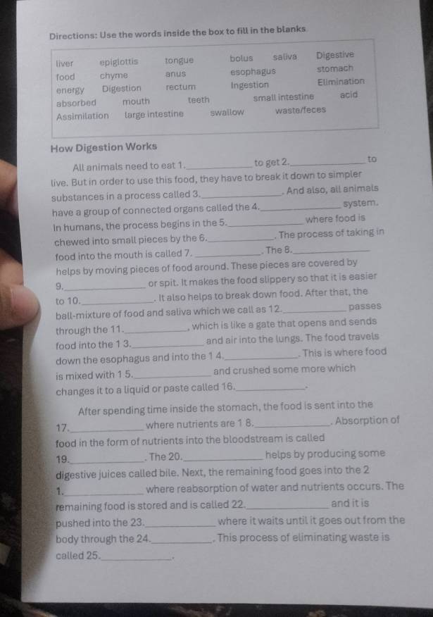 Directions: Use the words inside the box to fill in the blanks
liver epiglottis tongue bolus saliva Digestive
food chyme anus esophagus stomach
energy Digestion rectum Ingestion Elimination
absorbed mouth teeth small intestine acid
Assimilation large intestine swallow waste/feces
How Digestion Works
All animals need to eat 1._ to get 2. _to
live. But in order to use this food, they have to break it down to simpler
substances in a process called 3._ . And also, all animals
have a group of connected organs called the 4._ system.
In humans, the process begins in the 5._ where food is
chewed into small pieces by the 6._ . The process of taking in
food into the mouth is called 7. _. The 8._
helps by moving pieces of food around. These pieces are covered by
9._ or spit. It makes the food slippery so that it is easier
to 10. _. It also helps to break down food. After that, the
ball-mixture of food and saliva which we call as 12._ passes
through the 11._ , which is like a gate that opens and sends
food into the 1 3._ and air into the lungs. The food travels
down the esophagus and into the 1 4._ . This is where food
is mixed with 1 5._ and crushed some more which
changes it to a liquid or paste called 16. _.
After spending time inside the stomach, the food is sent into the
17._ where nutrients are 1 8._ . Absorption of
food in the form of nutrients into the bloodstream is called
19._ . The 20._ helps by producing some
digestive juices called bile. Next, the remaining food goes into the 2
1._ where reabsorption of water and nutrients occurs. The
remaining food is stored and is called 22._ and it is
pushed into the 23._ where it waits until it goes out from the
body through the 24._ . This process of eliminating waste is
called 25._