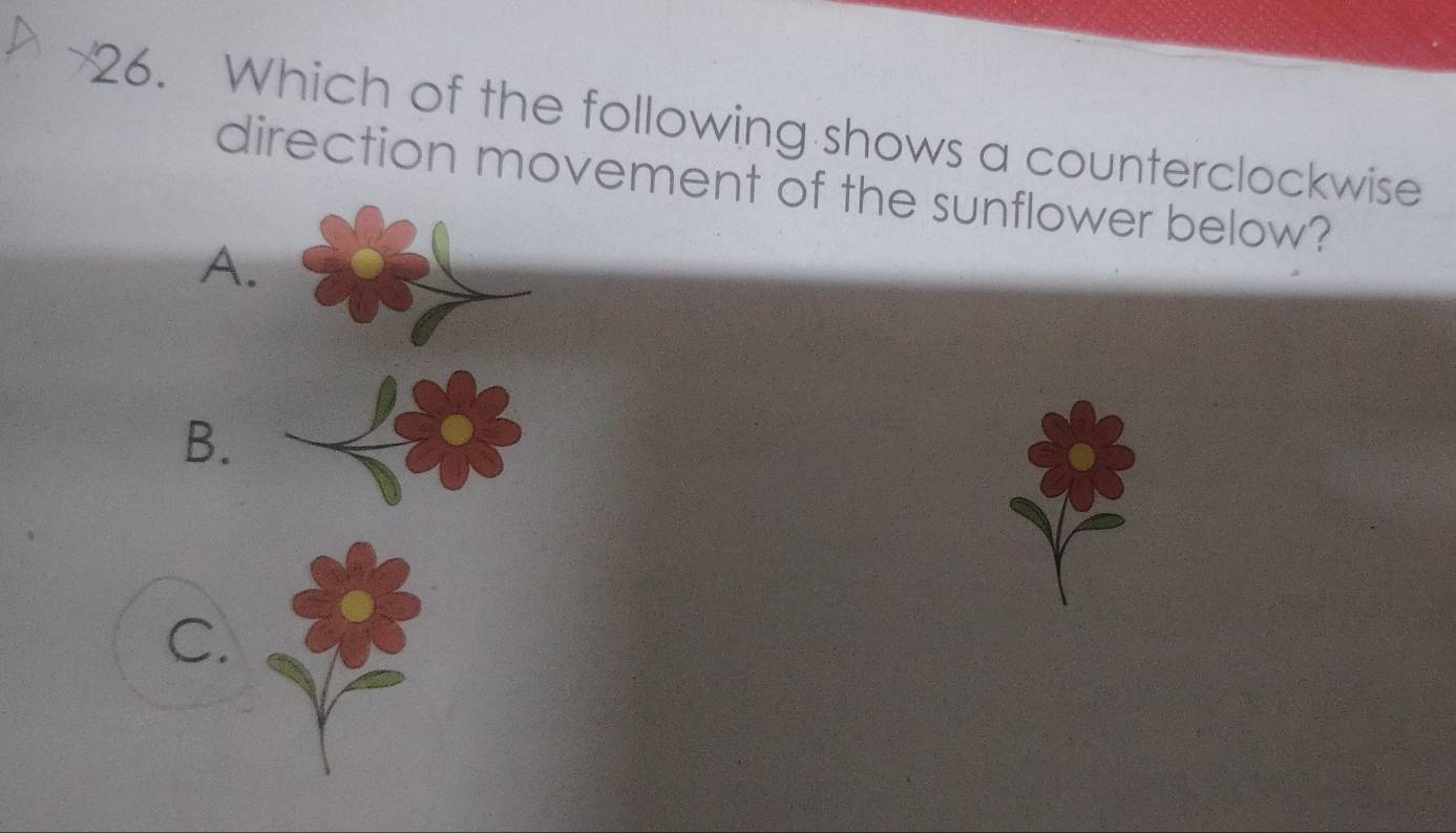 Which of the following shows a counterclockwise 
direction movement of the sunflower below? 
A. 
B. 
C.