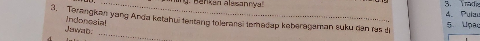 nting. Berikan alasannya! 3. Tradis 
4. Pulau 
3. Terangkan yang Anda ketahui tentang toleransi terhadap keberagaman suku dan ras di Indonesia! 
5. Upac 
Jawab: 
4 
_