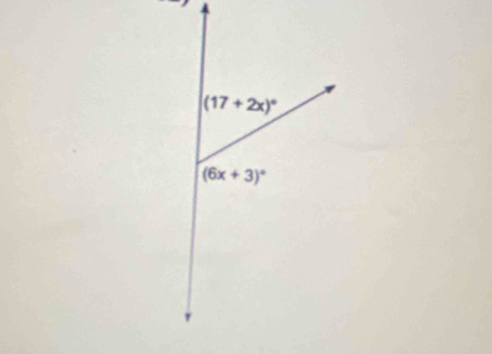 (17+2x)^circ 
(6x+3)^circ 