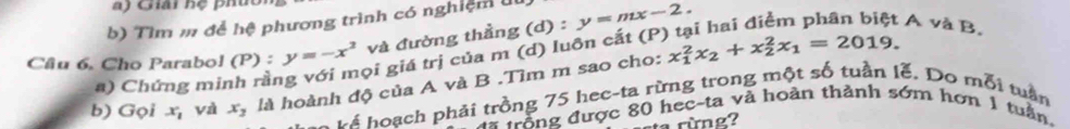 Giải hệ phúo 
b) Tìm m để hệ phương trình có nghiệm lt 
Câu 6. Cho Parabol (P) : y=-x^2 và đường thầng (d) :y=mx-2. 
: A và B. 
ọi giá trị của m (d) luôn cắt (P
b) Gọi x_1 yà x_3 là hoành độ của A và B .Tìm m sao cho: x_1^(2x_2)+x_2^(2x_1)=2019. 
a) Chứng minh rần 
* Đá hoạch phải trồng 75 hec-ta rừng trong một số tuần lễ. Do mỗi tuần 
* trong được 80 hec-ta và hoàn thành sớm hơn 1 tuần, 
a rừng?