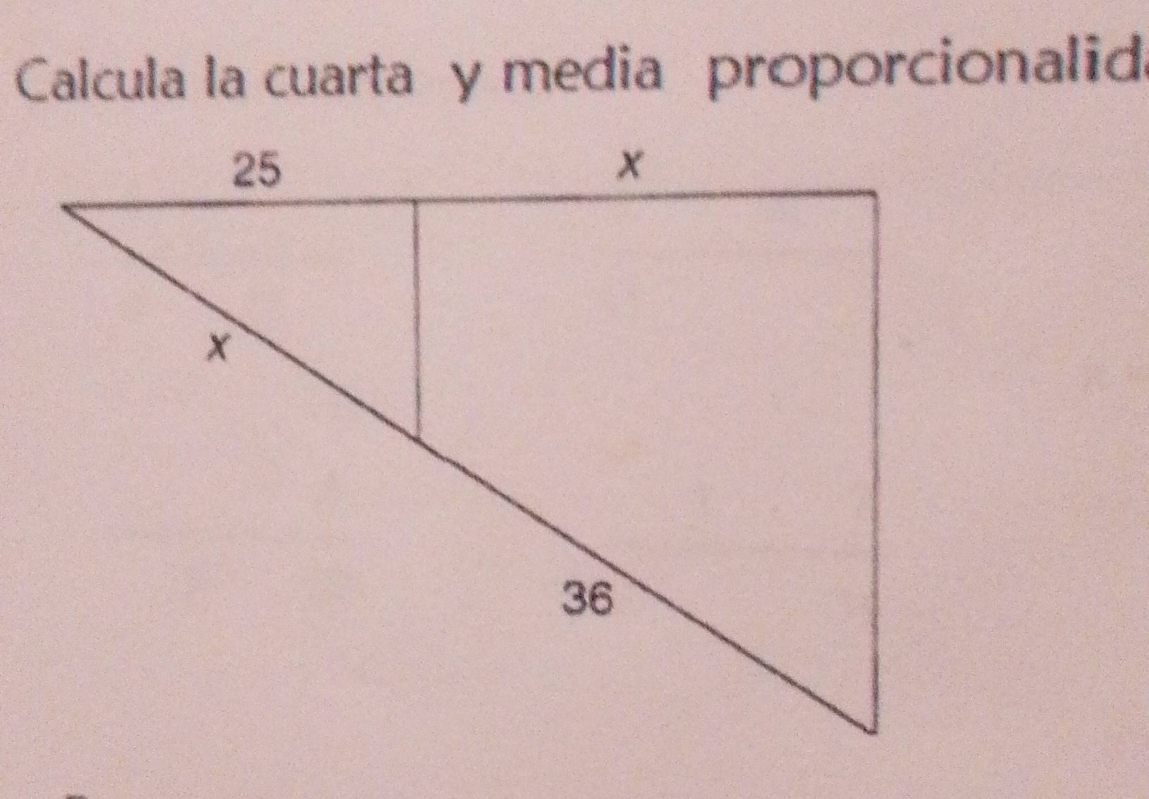 Calcula la cuarta y media proporcionalid