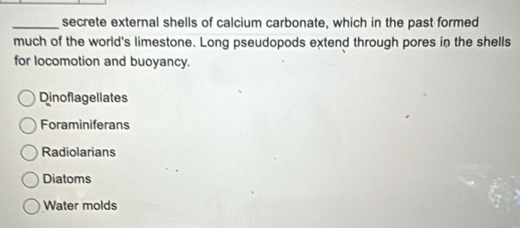 secrete external shells of calcium carbonate, which in the past formed
much of the world's limestone. Long pseudopods extend through pores in the shells
for locomotion and buoyancy.
Dinoflagellates
Foraminiferans
Radiolarians
Diatoms
Water molds