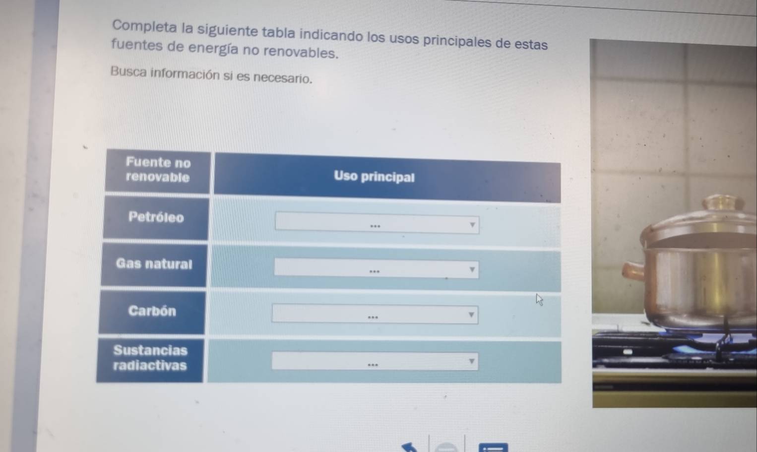 Completa la siguiente tabla indicando los usos principales de estas 
fuentes de energía no renovables. 
Busca información si es necesario.