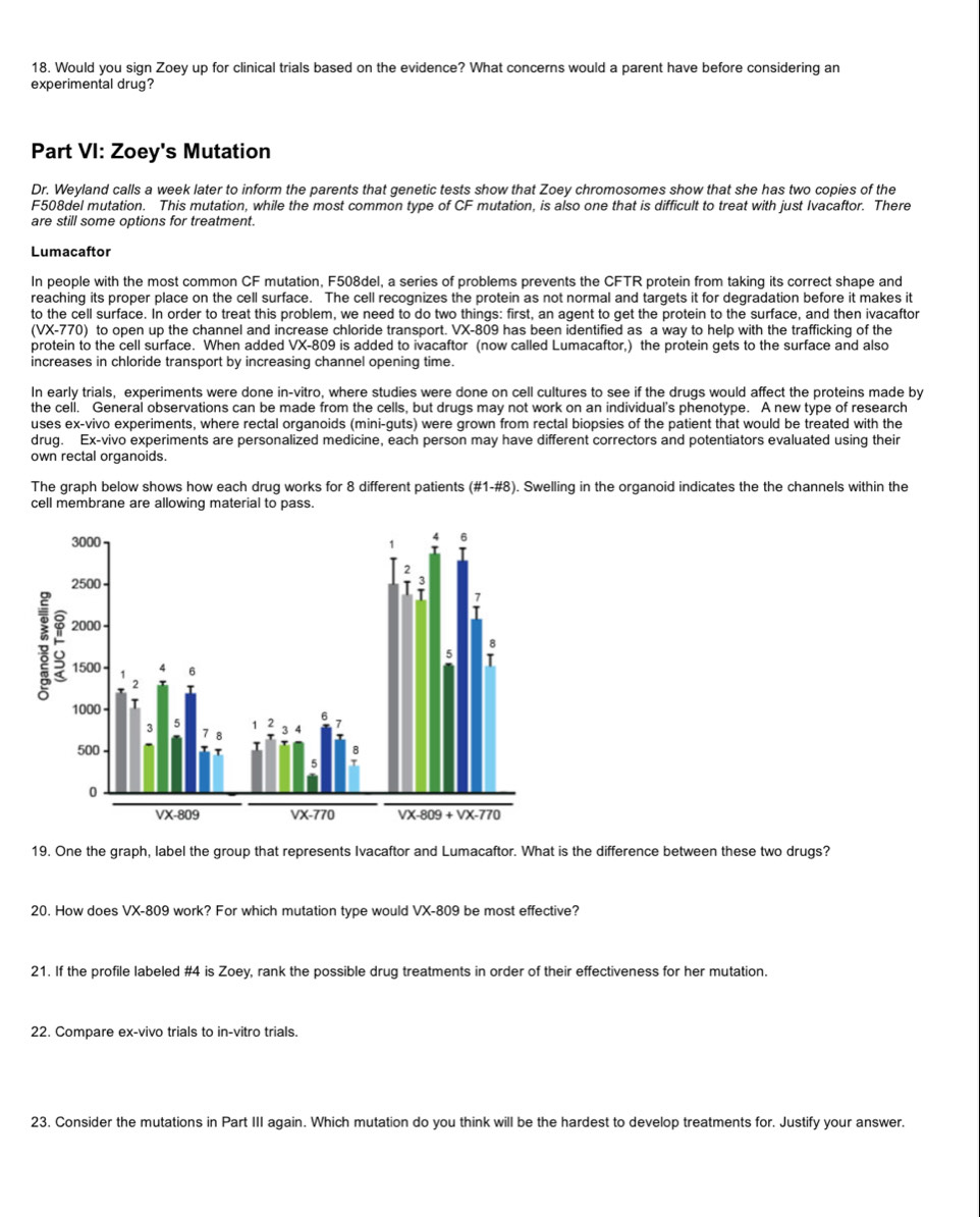 Would you sign Zoey up for clinical trials based on the evidence? What concerns would a parent have before considering an
experimental drug?
Part VI: Zoey's Mutation
Dr. Weyland calls a week later to inform the parents that genetic tests show that Zoey chromosomes show that she has two copies of the
F508del mutation. This mutation, while the most common type of CF mutation, is also one that is difficult to treat with just Ivacaftor. There
are still some options for treatment.
Lumacaftor
In people with the most common CF mutation, F508del, a series of problems prevents the CFTR protein from taking its correct shape and
reaching its proper place on the cell surface. The cell recognizes the protein as not normal and targets it for degradation before it makes it
to the cell surface. In order to treat this problem, we need to do two things: first, an agent to get the protein to the surface, and then ivacaftor
(VX-770) to open up the channel and increase chloride transport. VX-809 has been identified as a way to help with the trafficking of the
protein to the cell surface. When added VX-809 is added to ivacaftor (now called Lumacaftor,) the protein gets to the surface and also
increases in chloride transport by increasing channel opening time.
In early trials, experiments were done in-vitro, where studies were done on cell cultures to see if the drugs would affect the proteins made by
the cell. General observations can be made from the cells, but drugs may not work on an individual's phenotype. A new type of research
uses ex-vivo experiments, where rectal organoids (mini-guts) were grown from rectal biopsies of the patient that would be treated with the
drug. Ex-vivo experiments are personalized medicine, each person may have different correctors and potentiators evaluated using their
own rectal organoids.
The graph below shows how each drug works for 8 different patients (# 1-# 8). Swelling in the organoid indicates the the channels within the
cell membrane are allowing material to pass.
19. One the graph, label the group that represents Ivacaftor and Lumacaftor. What is the difference between these two drugs?
20. How does VX-809 work? For which mutation type would VX-809 be most effective?
21. If the profile labeled #4 is Zoey, rank the possible drug treatments in order of their effectiveness for her mutation.
22. Compare ex-vivo trials to in-vitro trials.
23. Consider the mutations in Part III again. Which mutation do you think will be the hardest to develop treatments for. Justify your answer.