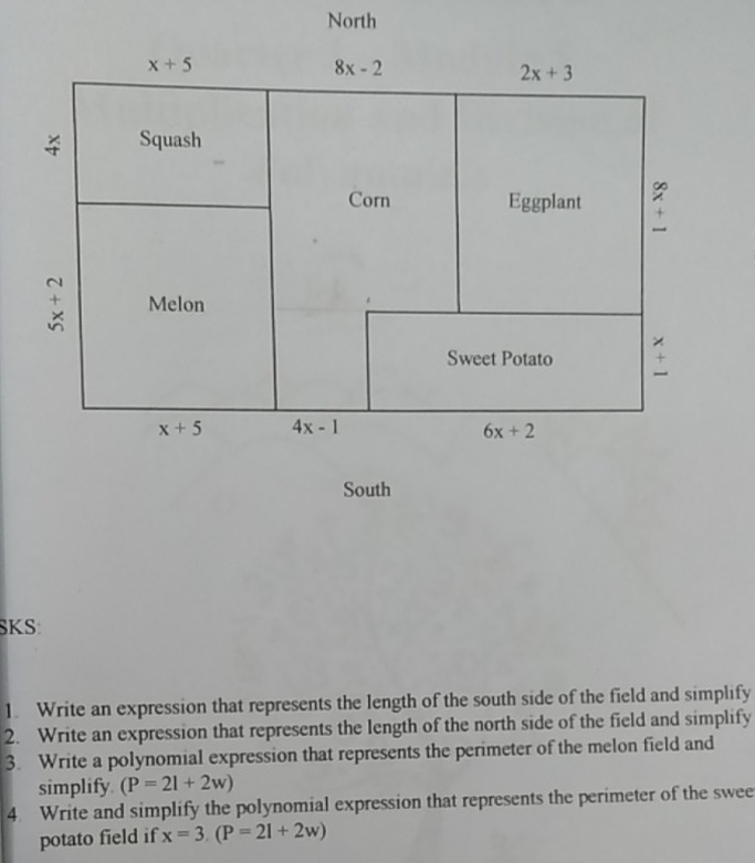 North
South
SKS
1. Write an expression that represents the length of the south side of the field and simplify
2.   Write an expression that represents the length of the north side of the field and simplify
3.  Write a polynomial expression that represents the perimeter of the melon field and
simplify (P=2l+2w)
4.  Write and simplify the polynomial expression that represents the perimeter of the swee
potato field if x=3.(P=2l+2w)