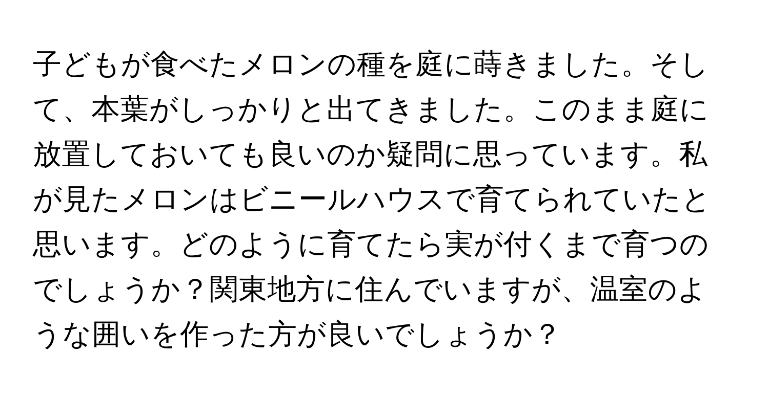 子どもが食べたメロンの種を庭に蒔きました。そして、本葉がしっかりと出てきました。このまま庭に放置しておいても良いのか疑問に思っています。私が見たメロンはビニールハウスで育てられていたと思います。どのように育てたら実が付くまで育つのでしょうか？関東地方に住んでいますが、温室のような囲いを作った方が良いでしょうか？