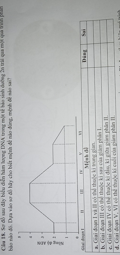 Sơ đồ sau đây biểu diễn hàm lượng DNA trong một tế bào sinh dưỡng 2n trải qua một quả trình phan
bào nào đó. Dựa vào sơ đồ hãy cho biết mệnh đề nào đúng, mệnh đề nào sai?
5
4
3
2
1
0
