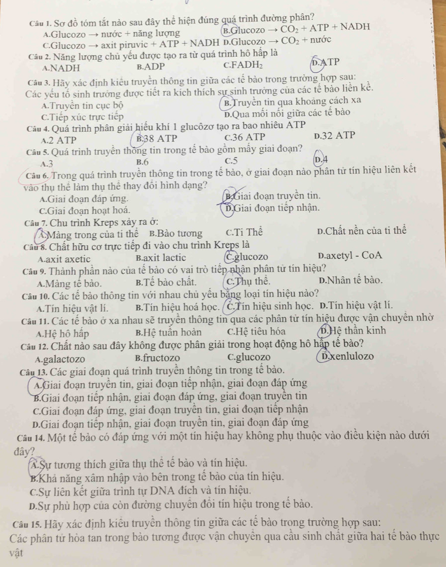 Sơ đồ tóm tắt nào sau đây thể hiện đúng quá trình đường phân?
A.Glucozo → nước + năng lượng B.Glucozo to CO_2+ATP+NADH
c.Glucozo → axit piruvic +ATP+NADH D.Glucozo CO_2+nudr
Câu 2. Năng lượng chủ yếu được tạo ra từ quá trình hô hấp là
a.NADH B.ADP c.FADH₂ D.ATP
Câu 3. Hãy xác định kiều truyền thông tin giữa các tế bào trong trường hợp sau:
Các yếu tổ sinh trưởng được tiết ra kích thích sự sinh trưởng của các tế bảo liền kề.
A.Truyền tin cục bộ B.Truyền tin qua khoảng cách xa
C.Tiếp xúc trực tiếp D.Qua mối nối giữa các tế bào
Câu 4. Quá trình phân giải hiếu khí 1 glucôzơ tạo ra bao nhiêu ATP
A.2 ATP B.38 ATP C.36 ATP D.32 ATP
Câu 5. Quá trình truyền thông tin trong tế bào gồm mấy giai đoạn?
A.3 B.6 C.5 D.4
Câu 6. Trong quá trình truyền thông tin trong tế bào, ở giai đoạn nào phân tử tín hiệu liên kết
vào thụ thể làm thụ thể thay đổi hình dạng?
A.Giai đoạn đáp ứng. B,Giai đoạn truyền tin.
c.Giai đoạn hoạt hoá. D.Giai đoạn tiếp nhận.
Câu 7. Chu trình Kreps xảy ra ở:
A Màng trong của ti thể b.Bào tương C.Ti Thể D.Chất nền của ti thể
Cầu 8. Chất hữu cơ trực tiếp đi vào chu trình Kreps là
A.axit axetic B.axit lactic C.glucozo D.axetyl - CoA
Câu 9. Thành phần nào của tế bào có vai trò tiếp nhận phân tử tín hiệu?
A.Màng tế bào. B.Tế bào chất. C.Thụ thể. D.Nhân tế bào.
Câu 10. Các tế bào thông tin với nhau chủ yếu bằng loại tín hiệu nào?
A.Tín hiệu vật lí. B.Tín hiệu hoá học. C.Tín hiệu sinh học. D.Tín hiệu vật lí.
Câu 11. Các tế bào ở xa nhau sẽ truyền thông tin qua các phân tử tín hiệu được vận chuyền nhờ
A.Hệ hộ hấp B.Hệ tuân hoàn C.Hệ tiêu hóa D. Hệ thần kinh
Câu 12. Chất nào sau đây không được phân giải trong hoạt động hô hập tế bào?
A.galactozo B.fructozo C.glucozo D.xenlulozo
Câu 13. Các giai đoạn quá trình truyền thông tin trong tế bào.
A Giai đoạn truyền tin, giai đoạn tiếp nhận, giai đoạn đáp ứng
B.Giai đoạn tiếp nhận, giai đoạn đáp ứng, giai đoạn truyền tin
C.Giai đoạn đáp ứng, giai đoạn truyền tin, giai đoạn tiếp nhận
D.Giai đoạn tiếp nhận, giai đoạn truyền tin, giai đoạn đáp ứng
Câu 14. Một tế bảo có đáp ứng với một tín hiệu hay không phụ thuộc vào điều kiện nào dưới
đây?
A Sự tương thích giữa thụ thể tế bào và tín hiệu.
B.Khả năng xâm nhập vào bên trong tế bào của tín hiệu.
C.Sự liên kết giữa trình tự DNA đích và tín hiệu.
D.Sự phù hợp của còn đường chuyển đồi tín hiệu trong tế bào.
Câu 15. Hãy xác định kiểu truyền thông tin giữa các tế bào trong trường hợp sau:
Các phân tử hòa tan trong bào tương được vận chuyền qua cầu sinh chất giữa hai tế bào thực
vật