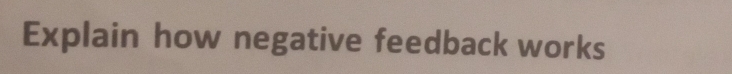 Explain how negative feedback works