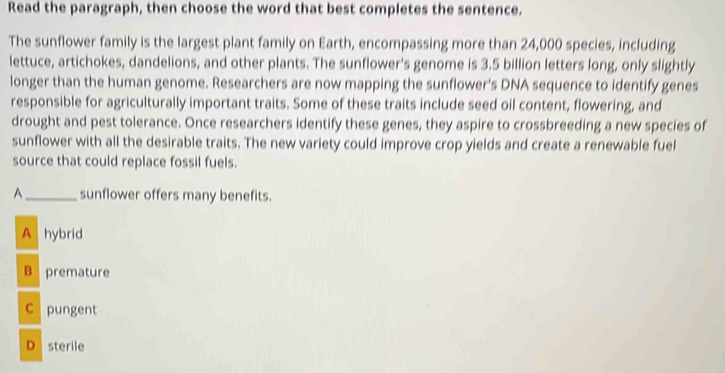 Read the paragraph, then choose the word that best completes the sentence.
The sunflower family is the largest plant family on Earth, encompassing more than 24,000 species, including
lettuce, artichokes, dandelions, and other plants. The sunflower's genome is 3.5 billion letters long, only slightly
longer than the human genome. Researchers are now mapping the sunflower's DNA sequence to identify genes
responsible for agriculturally important traits. Some of these traits include seed oil content, flowering, and
drought and pest tolerance. Once researchers identify these genes, they aspire to crossbreeding a new species of
sunflower with all the desirable traits. The new variety could improve crop yields and create a renewable fuel
source that could replace fossil fuels.
A_ sunflower offers many benefits.
A hybrid
B premature
C pungent
D sterile