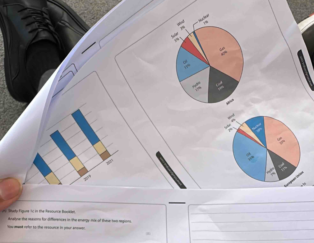 2021 
2019 
_ 
(n) Study Figure 1c in the Resource Booklet. 
_ 
Analyse the reasons for differences in the energy mix of these two regions._ 
You must refer to the resource in your answer. 
_ 
(8) 
_