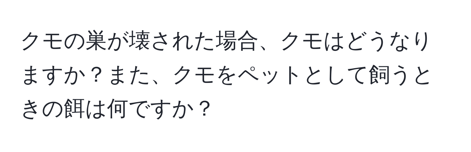 クモの巣が壊された場合、クモはどうなりますか？また、クモをペットとして飼うときの餌は何ですか？