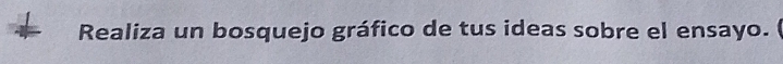 Realiza un bosquejo gráfico de tus ideas sobre el ensayo. (
