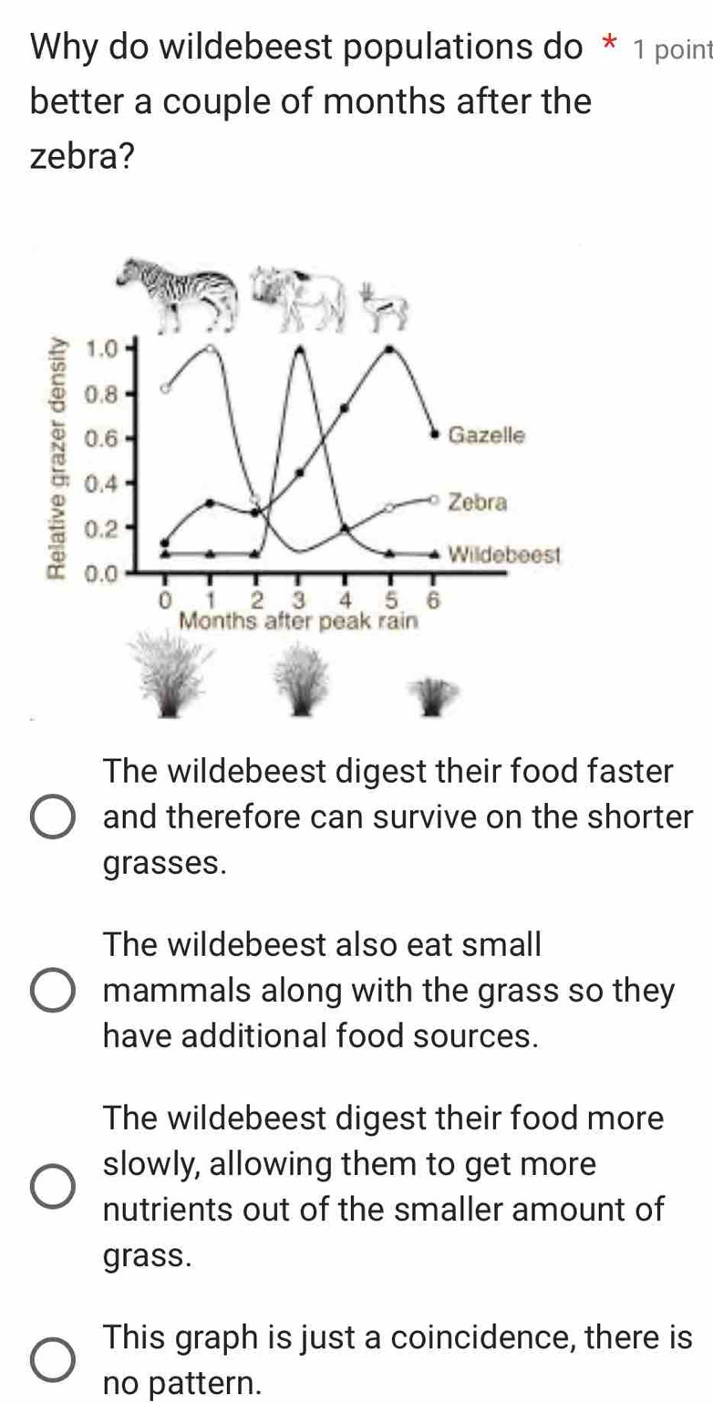 Why do wildebeest populations do * 1 point
better a couple of months after the
zebra?
1.0
0.8
0.6 Gazelle
0.4
Zebra
0.2
Willdebeest
0.0
0 1 2 3 4 5 6
Months after peak rain
The wildebeest digest their food faster
and therefore can survive on the shorter
grasses.
The wildebeest also eat small
mammals along with the grass so they
have additional food sources.
The wildebeest digest their food more
slowly, allowing them to get more
nutrients out of the smaller amount of
grass.
This graph is just a coincidence, there is
no pattern.