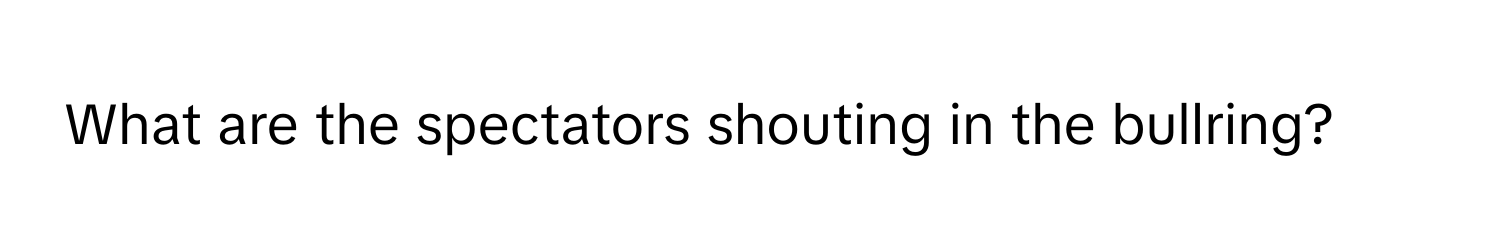 What are the spectators shouting in the bullring?