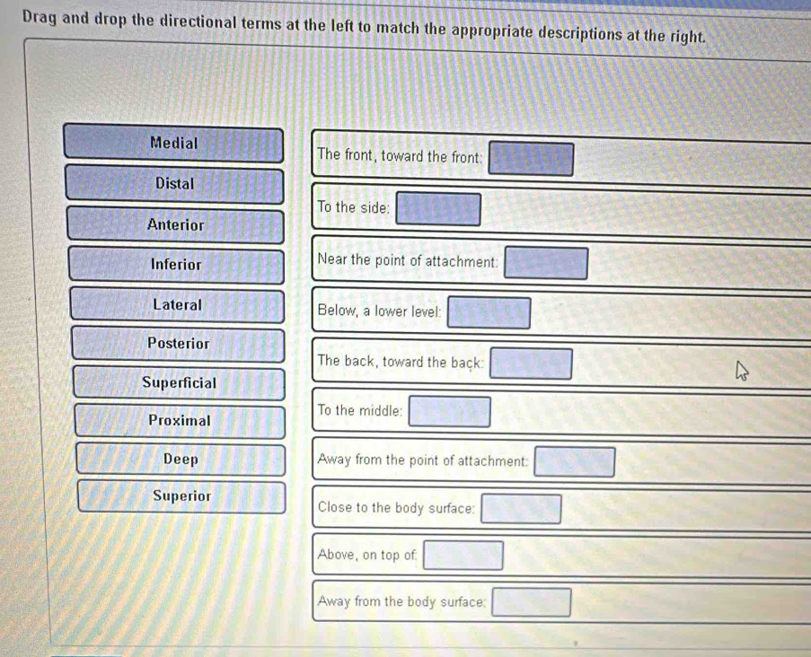 Drag and drop the directional terms at the left to match the appropriate descriptions at the right. 
Medial The front, toward the front: 
Distal 
To the side: 
Anterior 
Inferior Near the point of attachment: 
Lateral Below, a lower level: 
Posterior 
The back, toward the back: 
Superficial 
To the middle: 
Proximal 
Deep Away from the point of attachment: 
Superior 
Close to the body surface: 
Above, on top of: 
Away from the body surface: