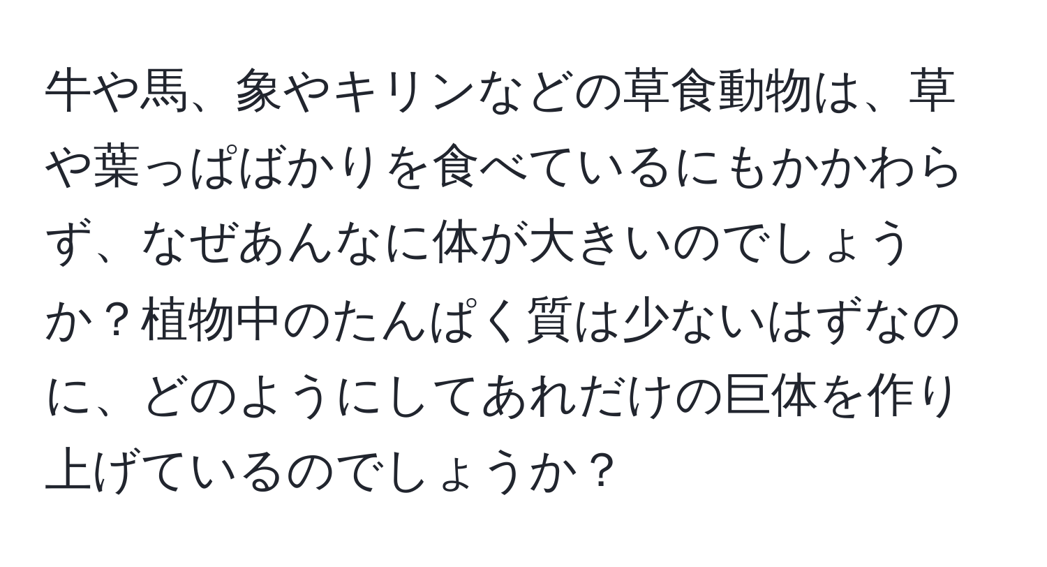 牛や馬、象やキリンなどの草食動物は、草や葉っぱばかりを食べているにもかかわらず、なぜあんなに体が大きいのでしょうか？植物中のたんぱく質は少ないはずなのに、どのようにしてあれだけの巨体を作り上げているのでしょうか？