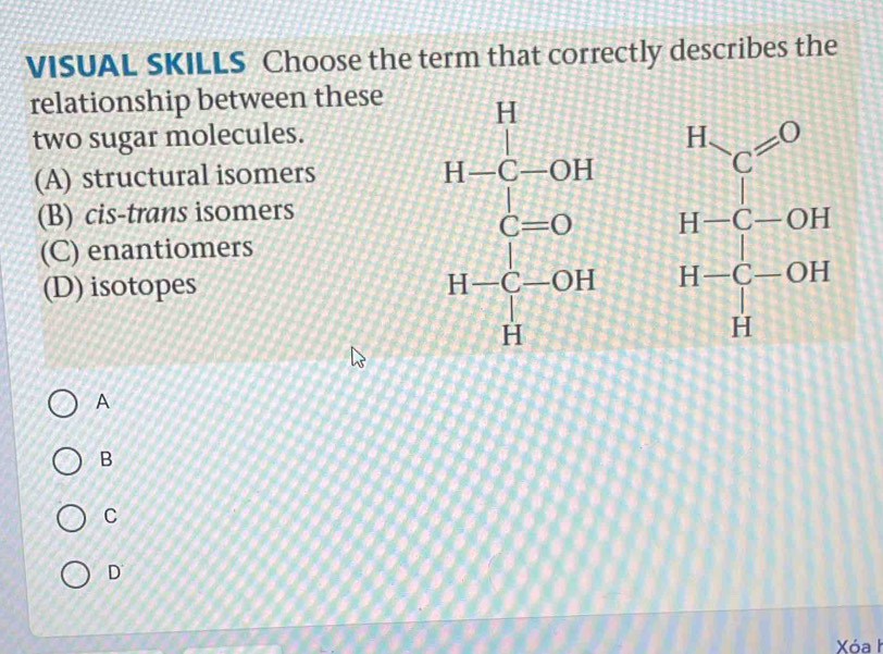 VISUAL SKILLS Choose the term that correctly describes the
relationship between these
two sugar molecules.
(A) structural isomers
(B) cis-trans isomers
(C) enantiomers
(D) isotopes
beginarrayr 11 Nendarray beginarrayr 11 (-0)1 &11-(-1-x-0)&10-frac 100 1-(-0)l hline t□  
A
B
C
D
Xóah