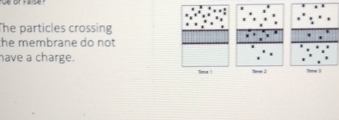 The particles crossing 
I 
] t 
the membrane do not
4
1 
have a charge. 
Time 1 time 2