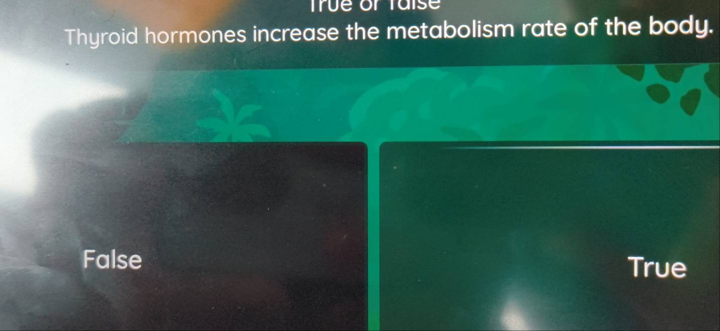 True or Taise
Thyroid hormones increase the metabolism rate of the body.
False
True