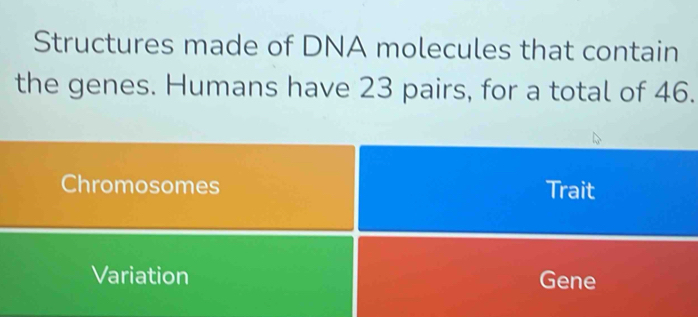 Structures made of DNA molecules that contain 
the genes. Humans have 23 pairs, for a total of 46. 
Chromosomes Trait 
Variation Gene