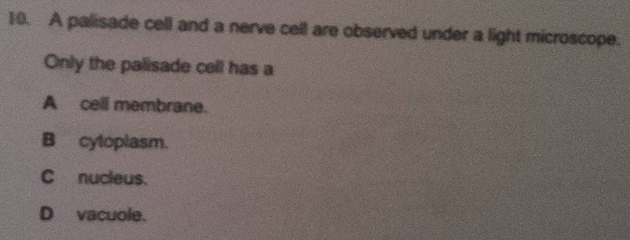 A palisade cell and a nerve cell are observed under a light microscope.
Only the palisade cell has a
A cell membrane.
B cytoplasm.
C nucleus.
D vacuole.