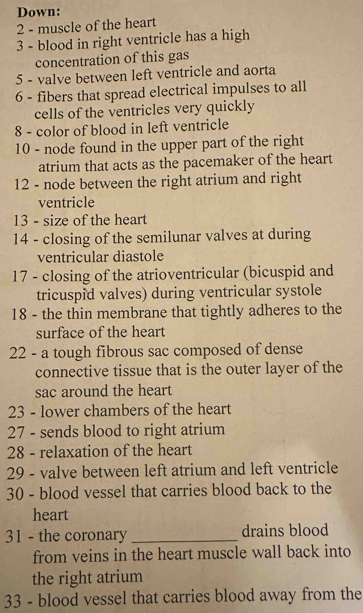 Down: 
2 - muscle of the heart 
3 - blood in right ventricle has a high 
concentration of this gas 
5 - valve between left ventricle and aorta 
6 - fibers that spread electrical impulses to all 
cells of the ventricles very quickly 
8 - color of blood in left ventricle 
10 - node found in the upper part of the right 
atrium that acts as the pacemaker of the heart 
12 - node between the right atrium and right 
ventricle 
13 - size of the heart 
14 - closing of the semilunar valves at during 
ventricular diastole 
17 - closing of the atrioventricular (bicuspid and 
tricuspid valves) during ventricular systole 
18 - the thin membrane that tightly adheres to the 
surface of the heart 
22 - a tough fibrous sac composed of dense 
connective tissue that is the outer layer of the 
sac around the heart 
23 - lower chambers of the heart 
27 - sends blood to right atrium 
28 - relaxation of the heart 
29 - valve between left atrium and left ventricle 
30 - blood vessel that carries blood back to the 
heart 
31 - the coronary_ 
drains blood 
from veins in the heart muscle wall back into 
the right atrium 
33 - blood vessel that carries blood away from the