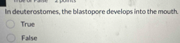 pomt
In deuterostomes, the blastopore develops into the mouth.
True
False