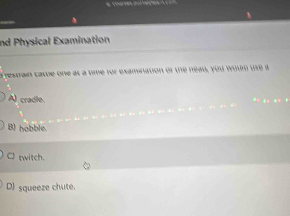 Courses Ecltaltión Ive =
nd Physical Examination
d restrain catue one at a time for examination of the nead, you would use in
Acradle
B) hobble.
C) twitch.
D) squeeze chute.