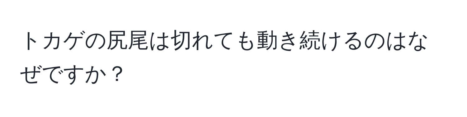 トカゲの尻尾は切れても動き続けるのはなぜですか？